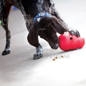 Kong Wobbler Interactive Treat Dispensing Dog Toy - Large