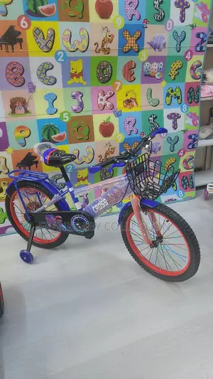 Best Bicycle for Big Kids