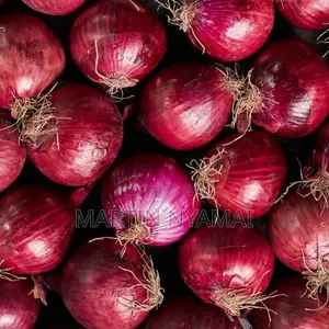 Onions Available