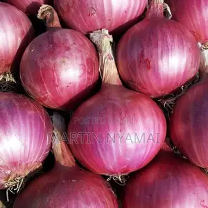 Onions Available