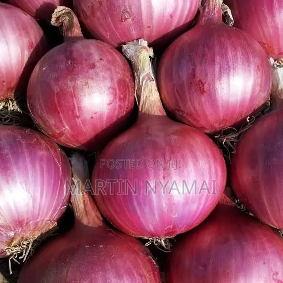 Onions Available