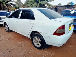 Toyota Corolla 2005 White