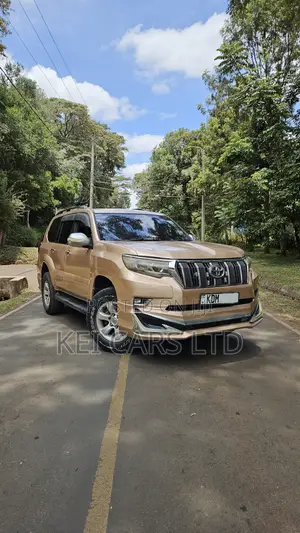 Toyota Land Cruiser 2006 Gold