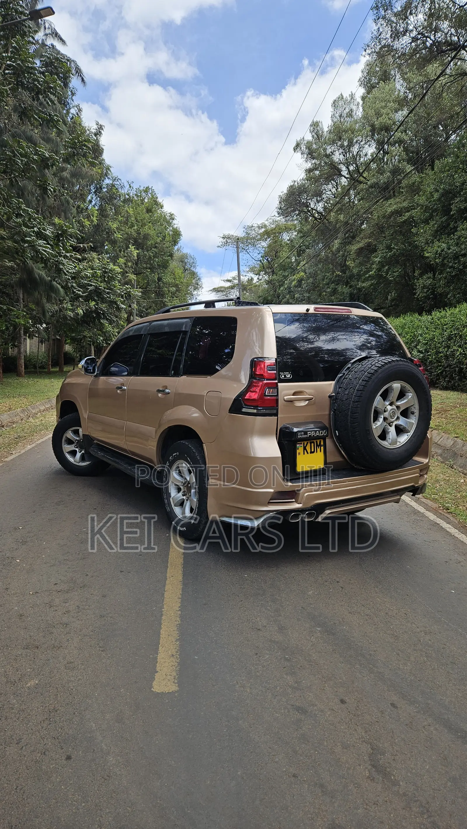 Toyota Land Cruiser 2006 Gold