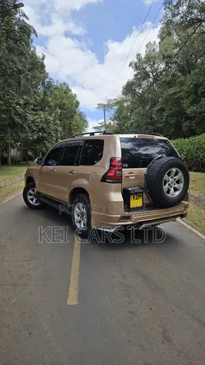 Toyota Land Cruiser 2006 Gold