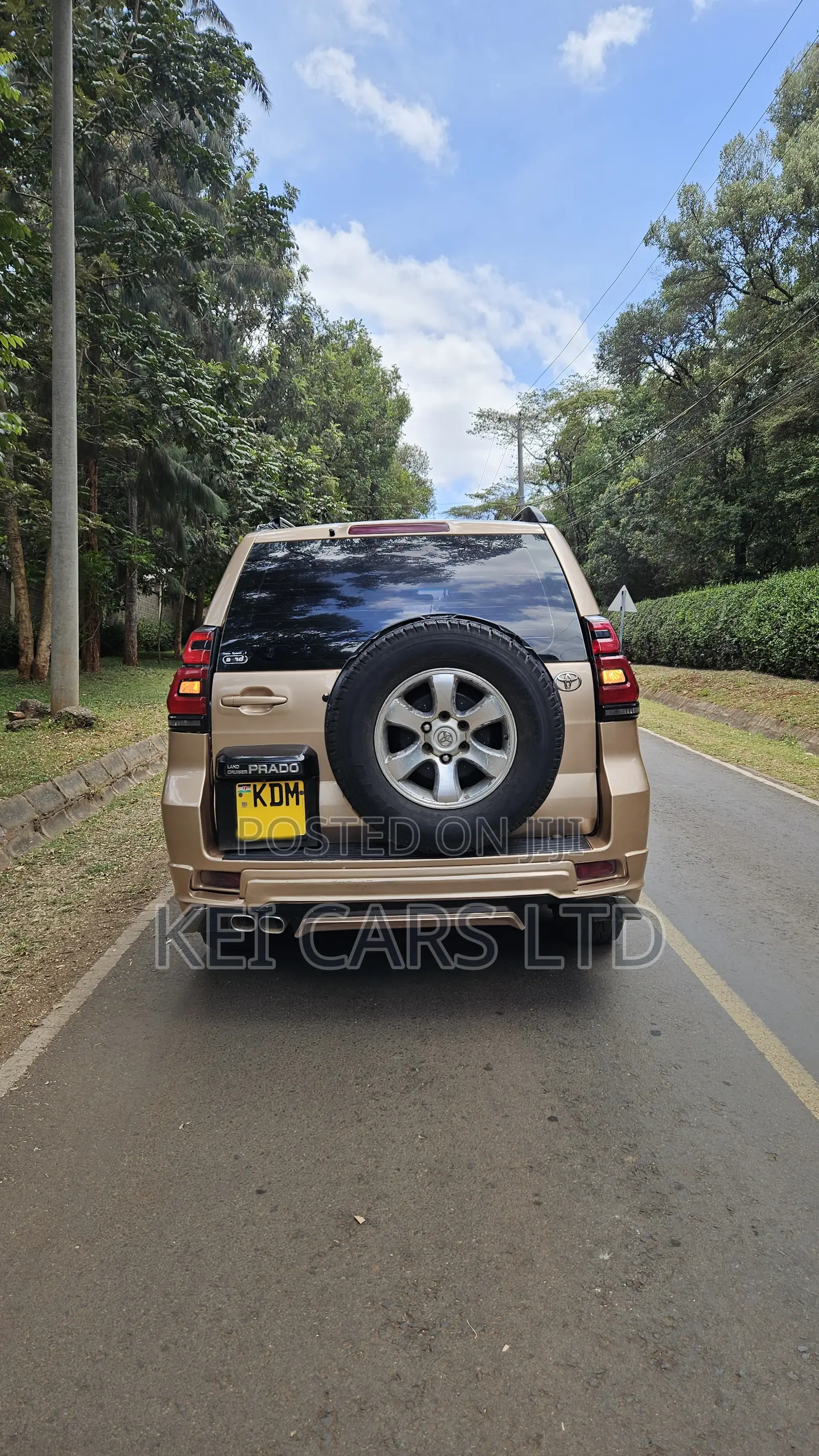 Toyota Land Cruiser 2006 Gold