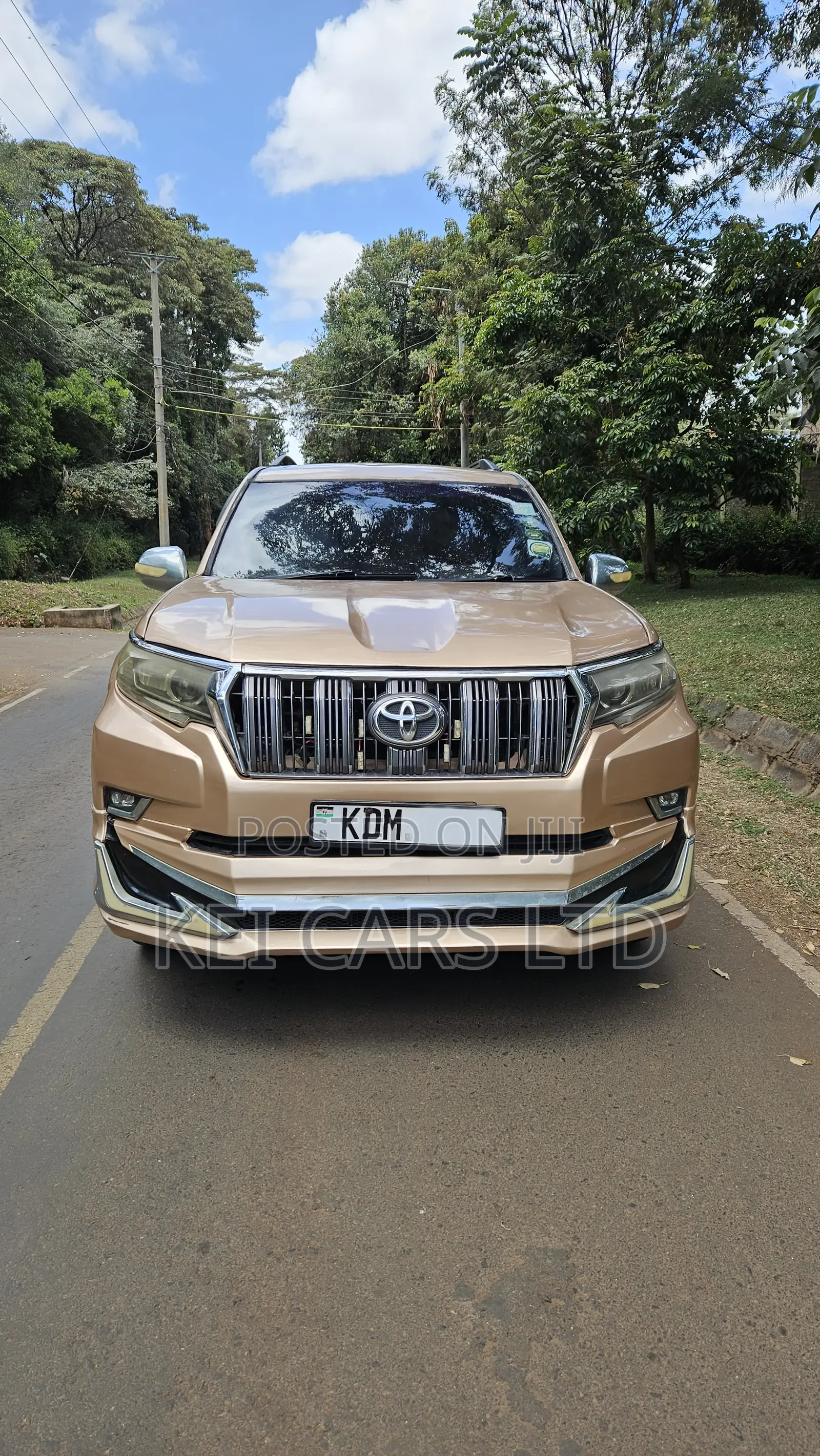 Toyota Land Cruiser 2006 Gold