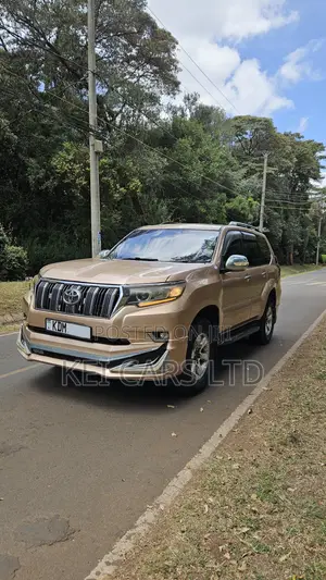 Toyota Land Cruiser 2006 Gold