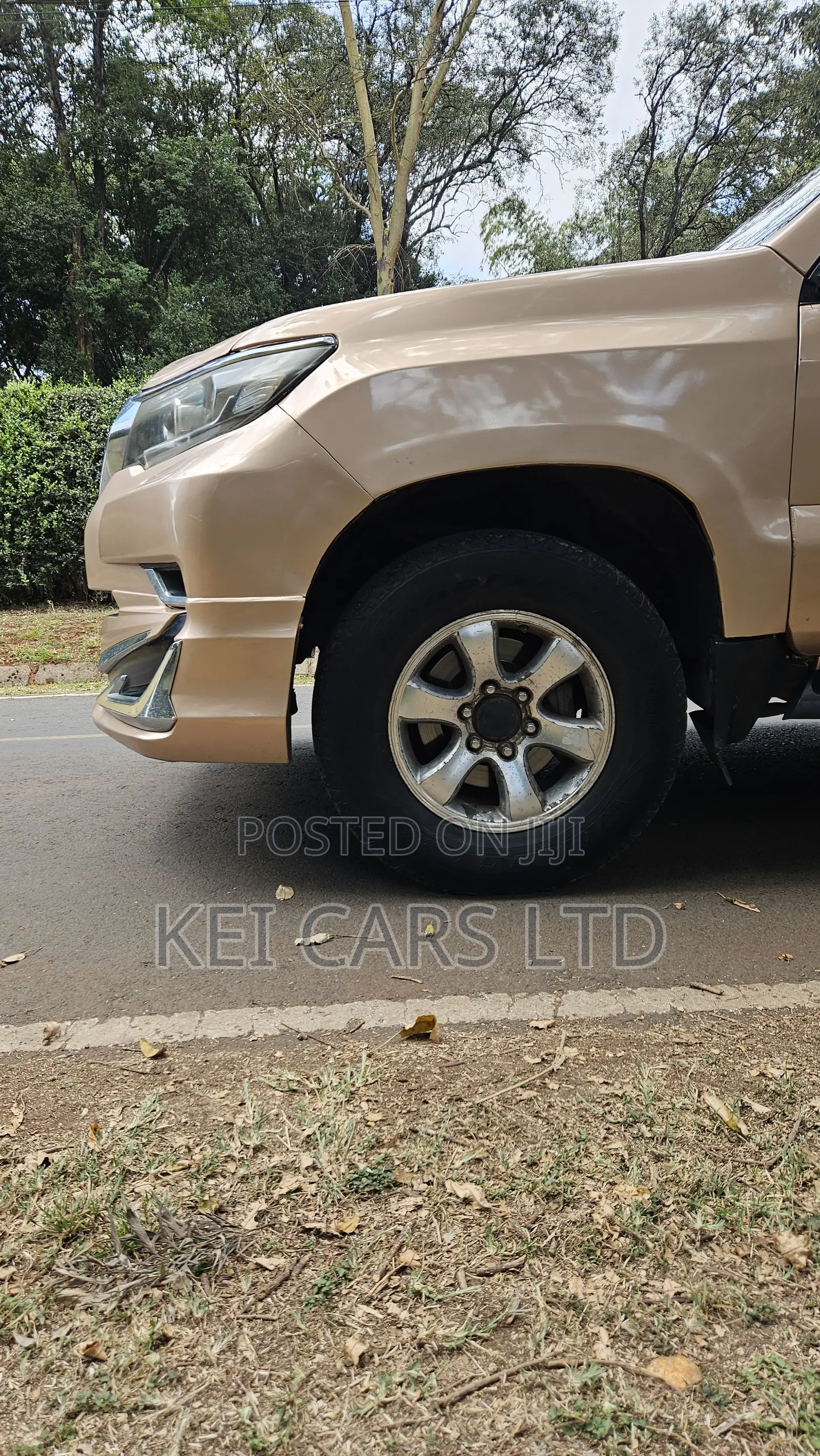 Toyota Land Cruiser 2006 Gold