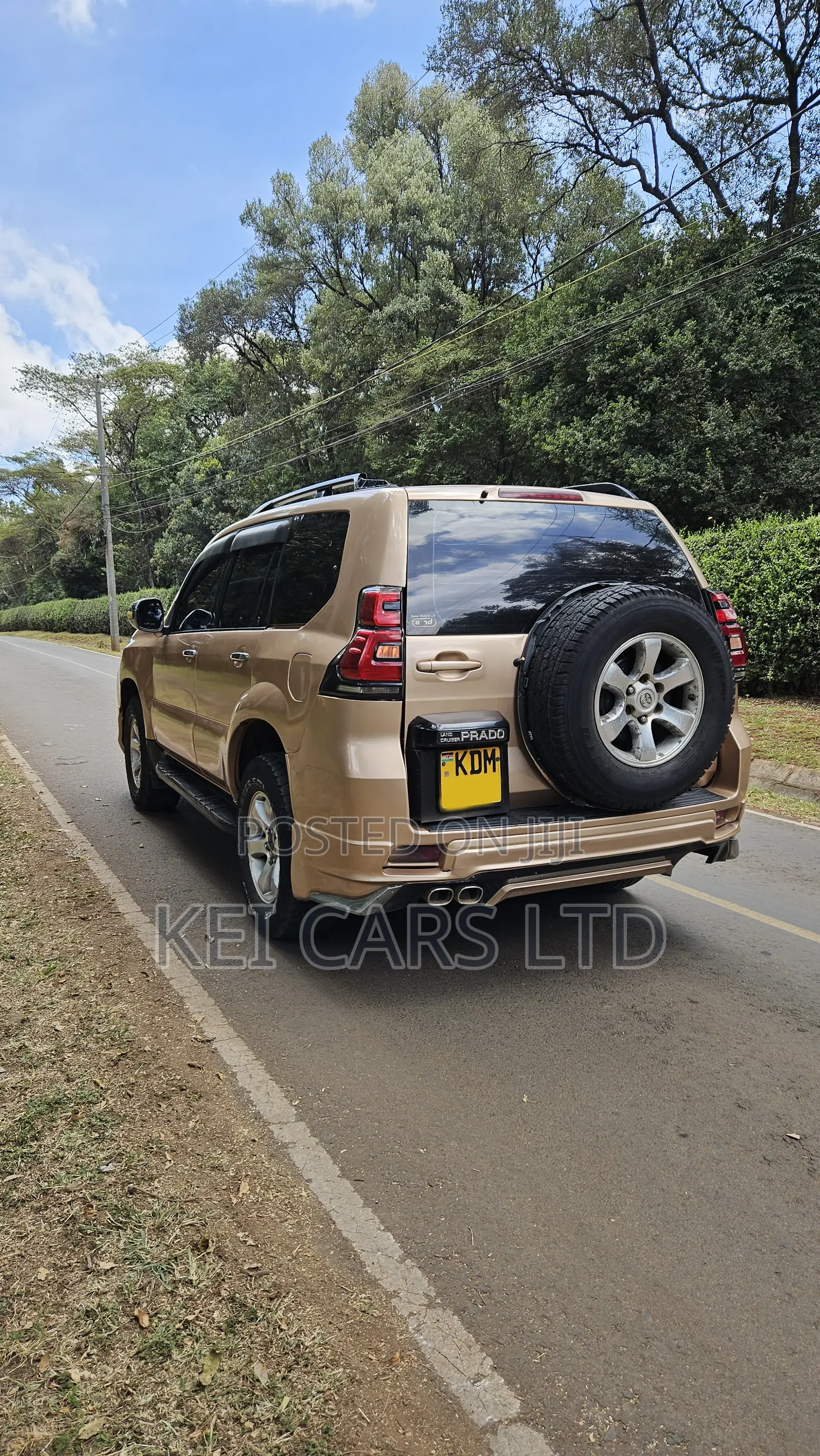 Toyota Land Cruiser 2006 Gold