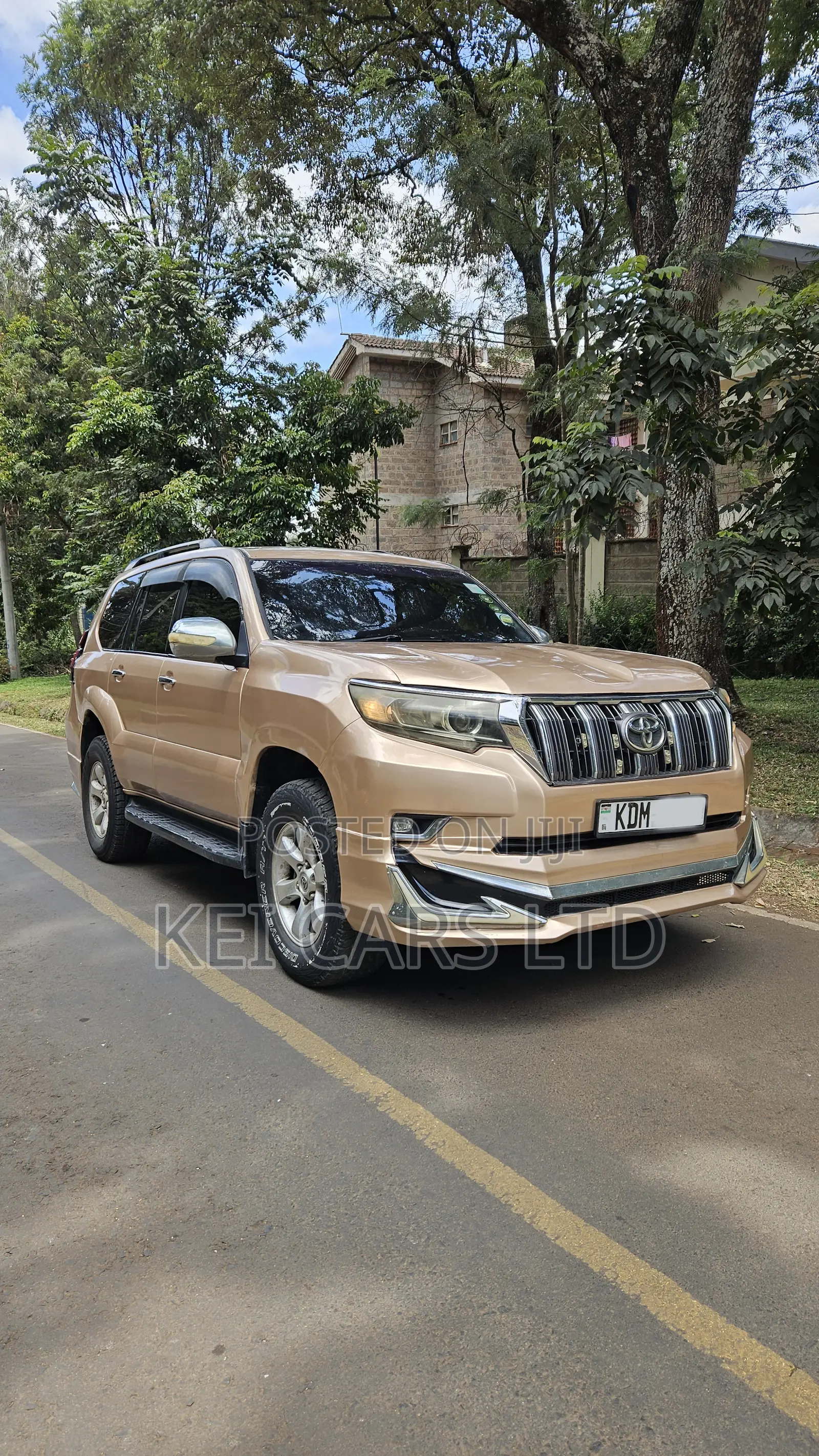 Toyota Land Cruiser 2006 Gold