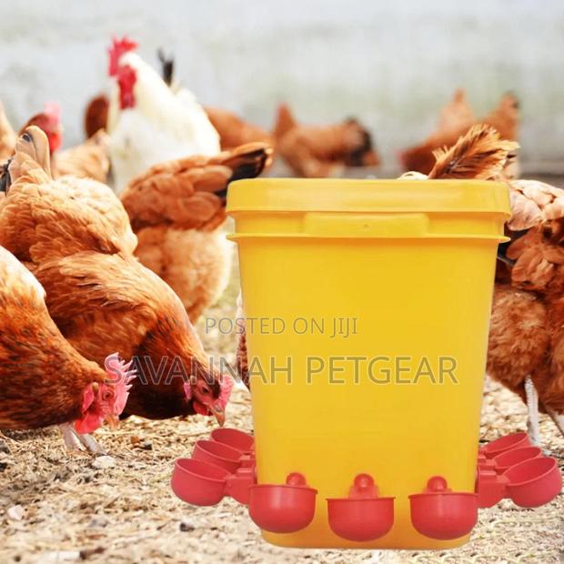 Multi-Purpose Automatic Cup Drinkers+bucket for Poultry, Pigeon, Ducks