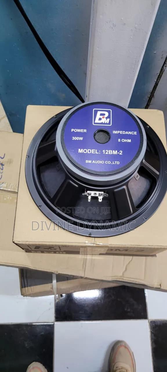 Bm Audio12bm_2 12 300 W Naked Speaker - main view