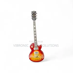 Gibson Solo Guitar