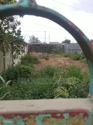 Manyanja Plot