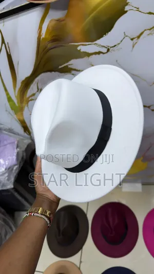 White Wide Brim Fedora Hat