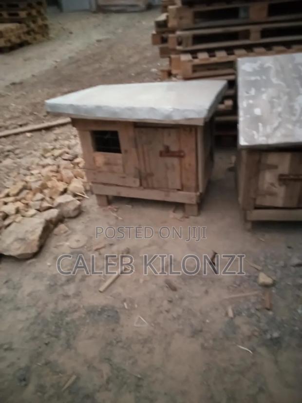 Small Kennel Dog - main view