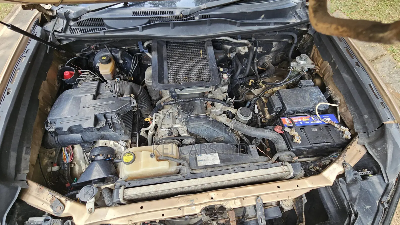 Toyota Land Cruiser 2006 Gold