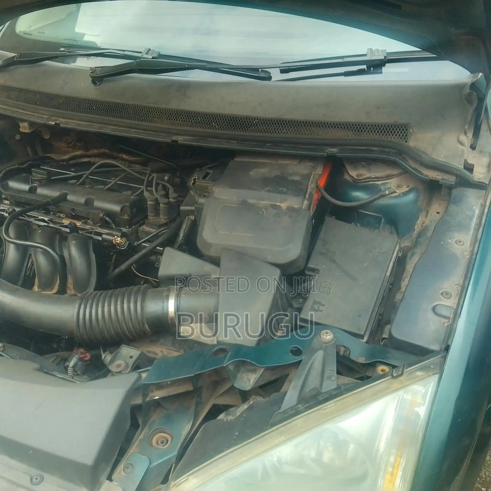 Ford Focus 2007 Green