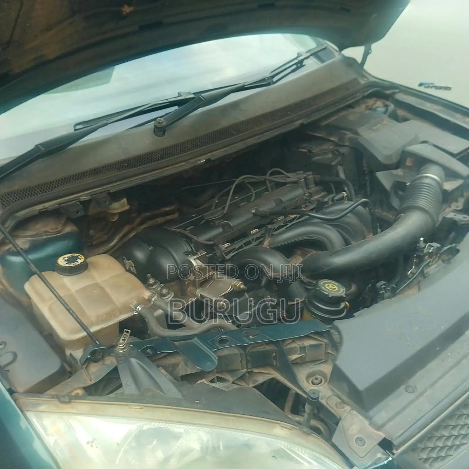 Ford Focus 2007 Green