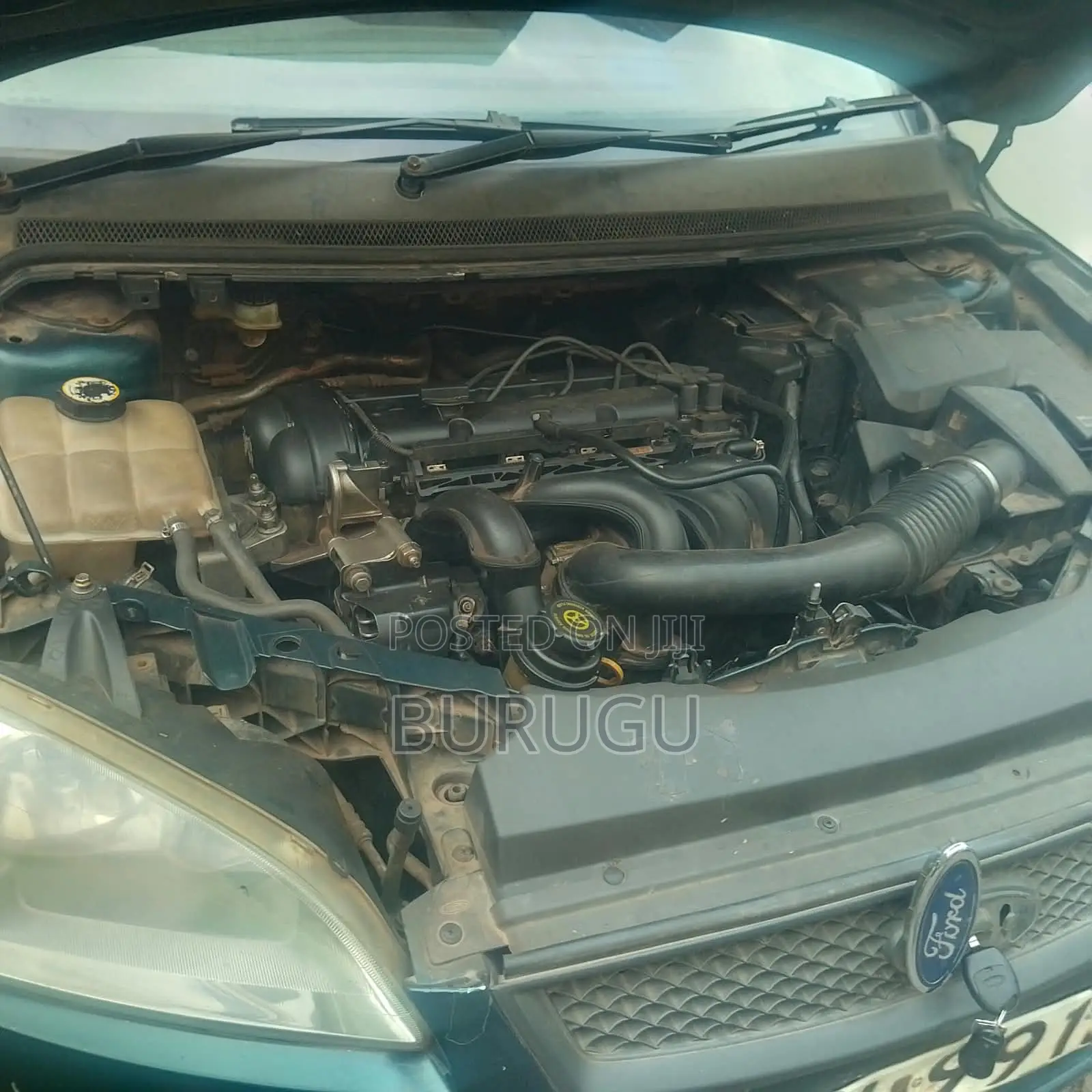 Ford Focus 2007 Green