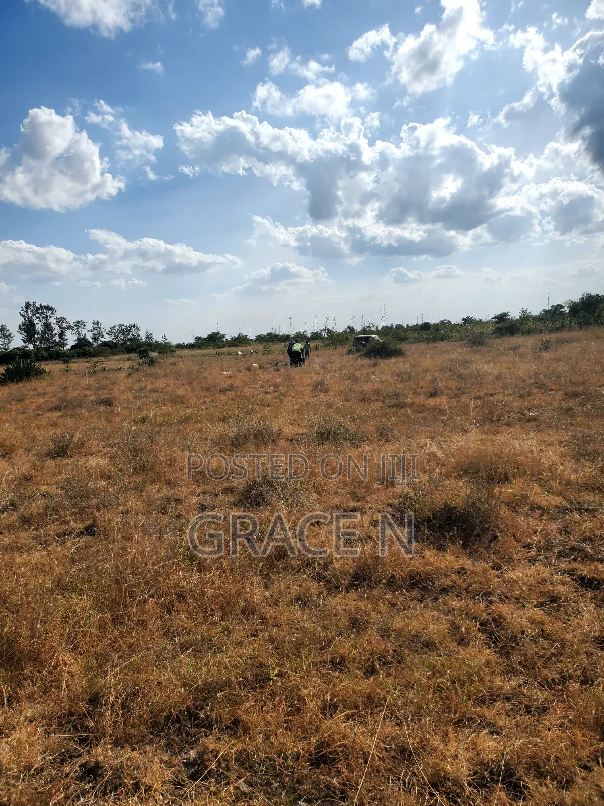 Plot for Sale