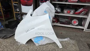Voxy 2016 Fenders/Wing