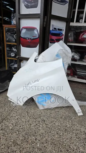 Voxy 2016 Fenders/Wing