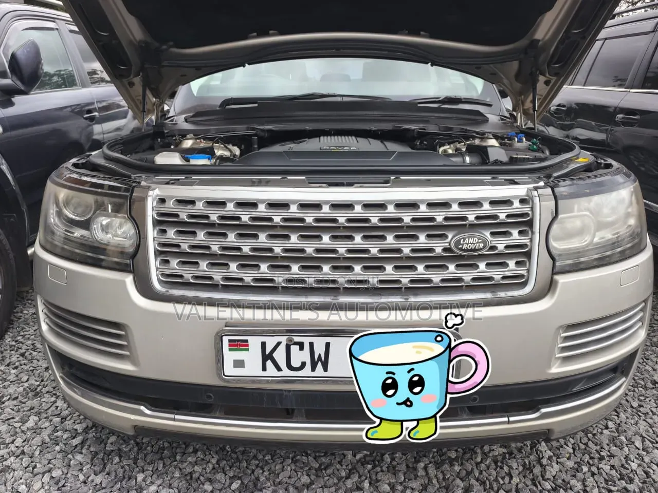 Land Rover Range Rover Vogue 2014 Silver