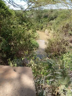 600.acreas Rumuruti