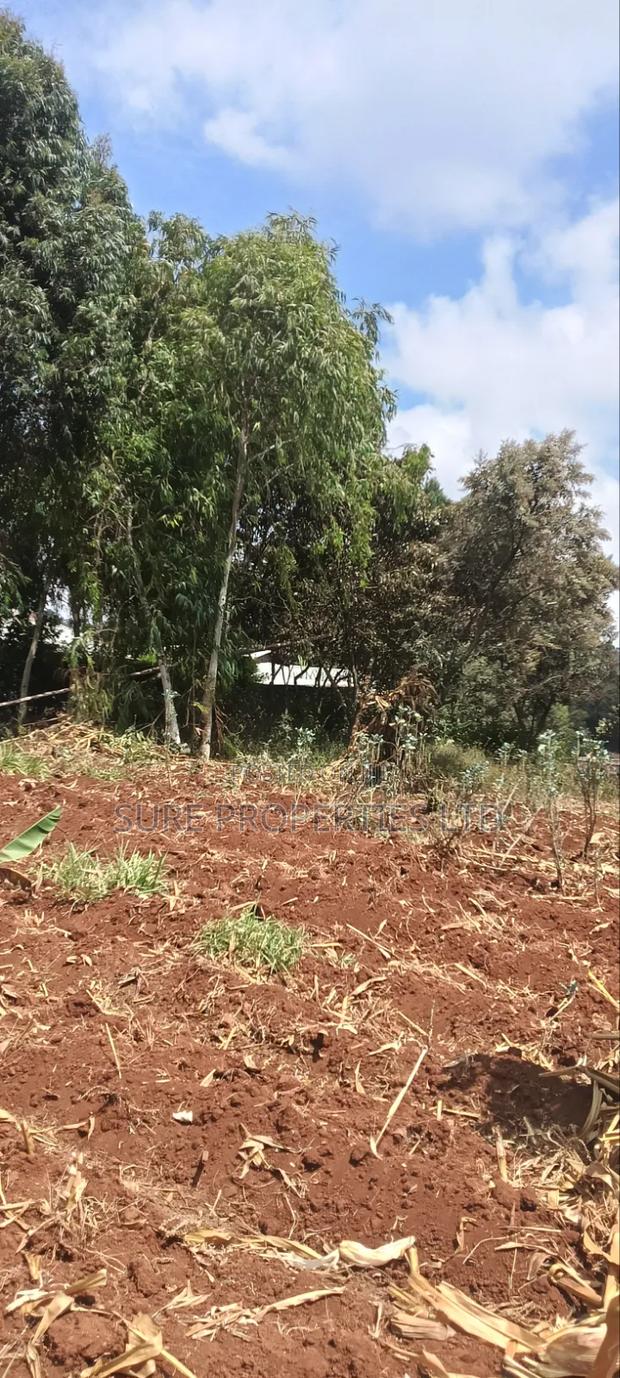50x100 Prime Plot Lusingetti Plot - main view