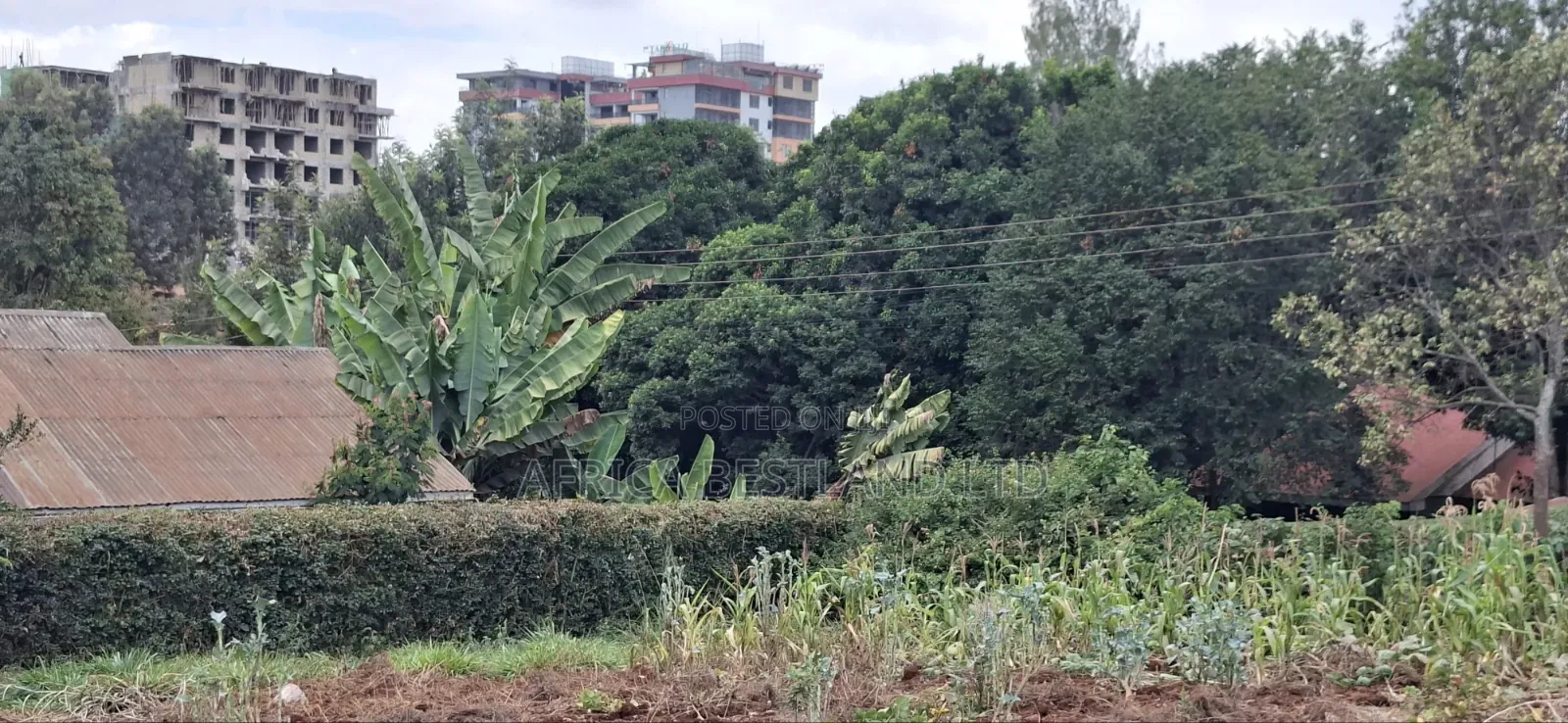 50×100 Plot for Sale – Kabete Kibiciku
