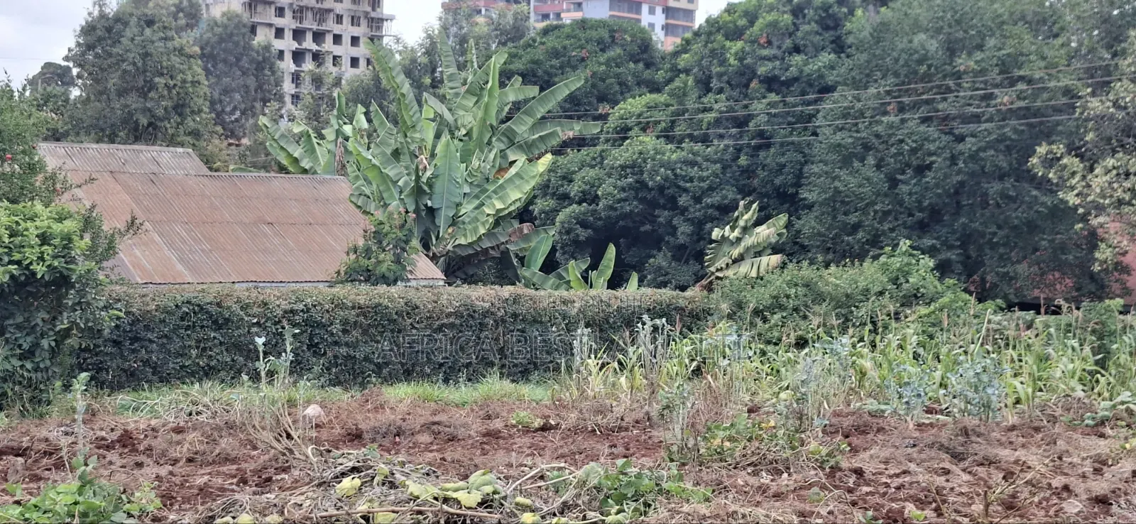 50×100 Plot for Sale – Kabete Kibiciku