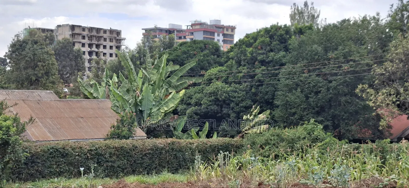 50×100 Plot for Sale – Kabete Kibiciku