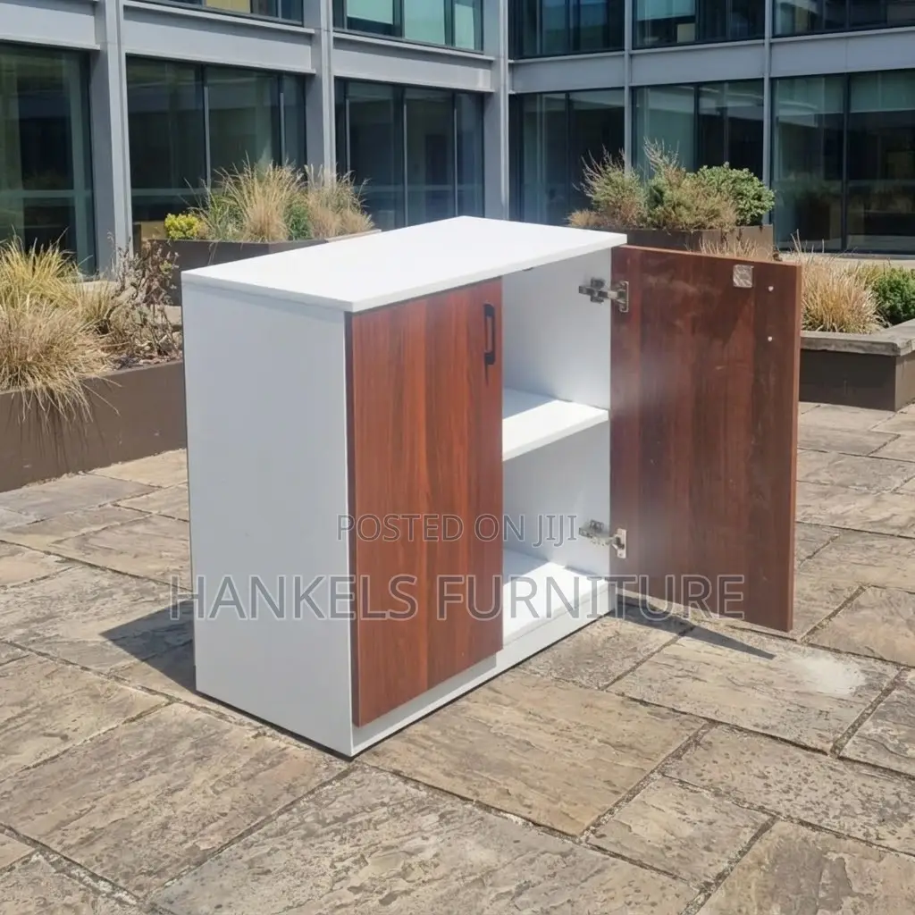 Modern Credenza Office Cabinet for Professional Storage