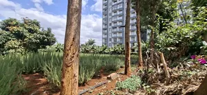 1/2 Acre Prime Land for Sale – Kabete Kibiciku