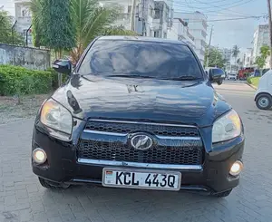 Toyota RAV4 2010 Black