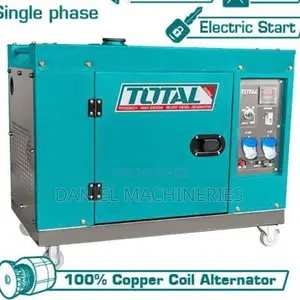 Diesel Silent Generator TP265001
