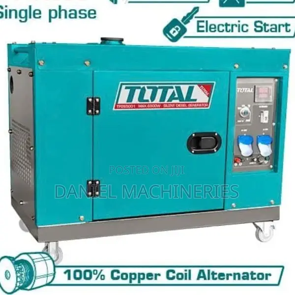 Diesel Silent Generator TP265001