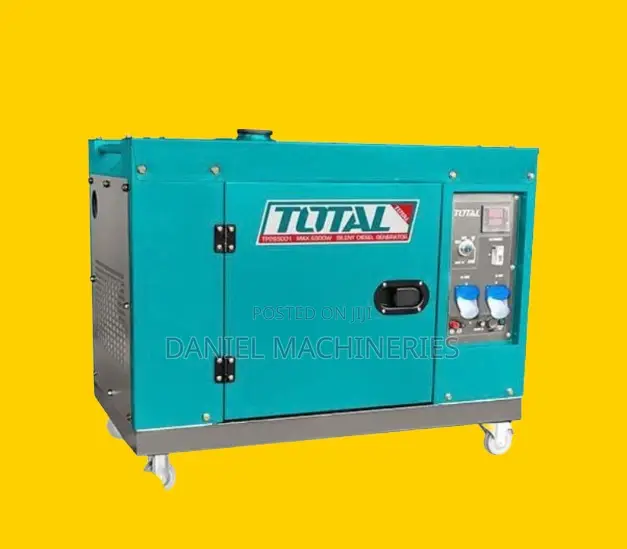 Diesel Silent Generator TP265001