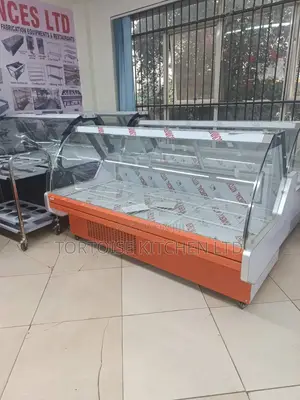 Meat Chiller Display Imported 5ft Long