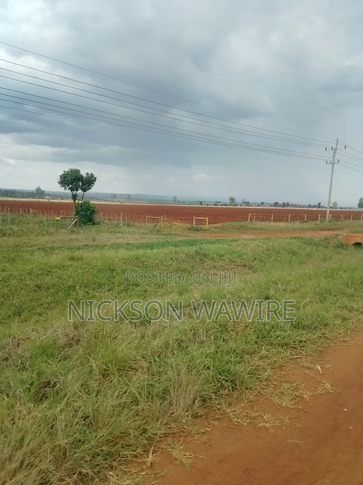 Land on Sell