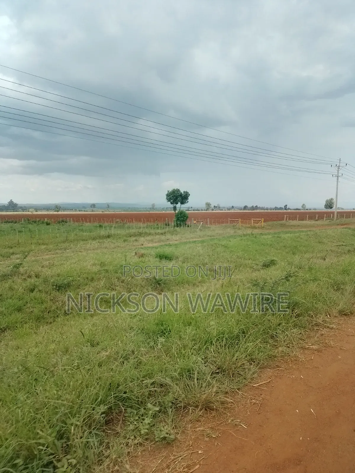 Land on Sell