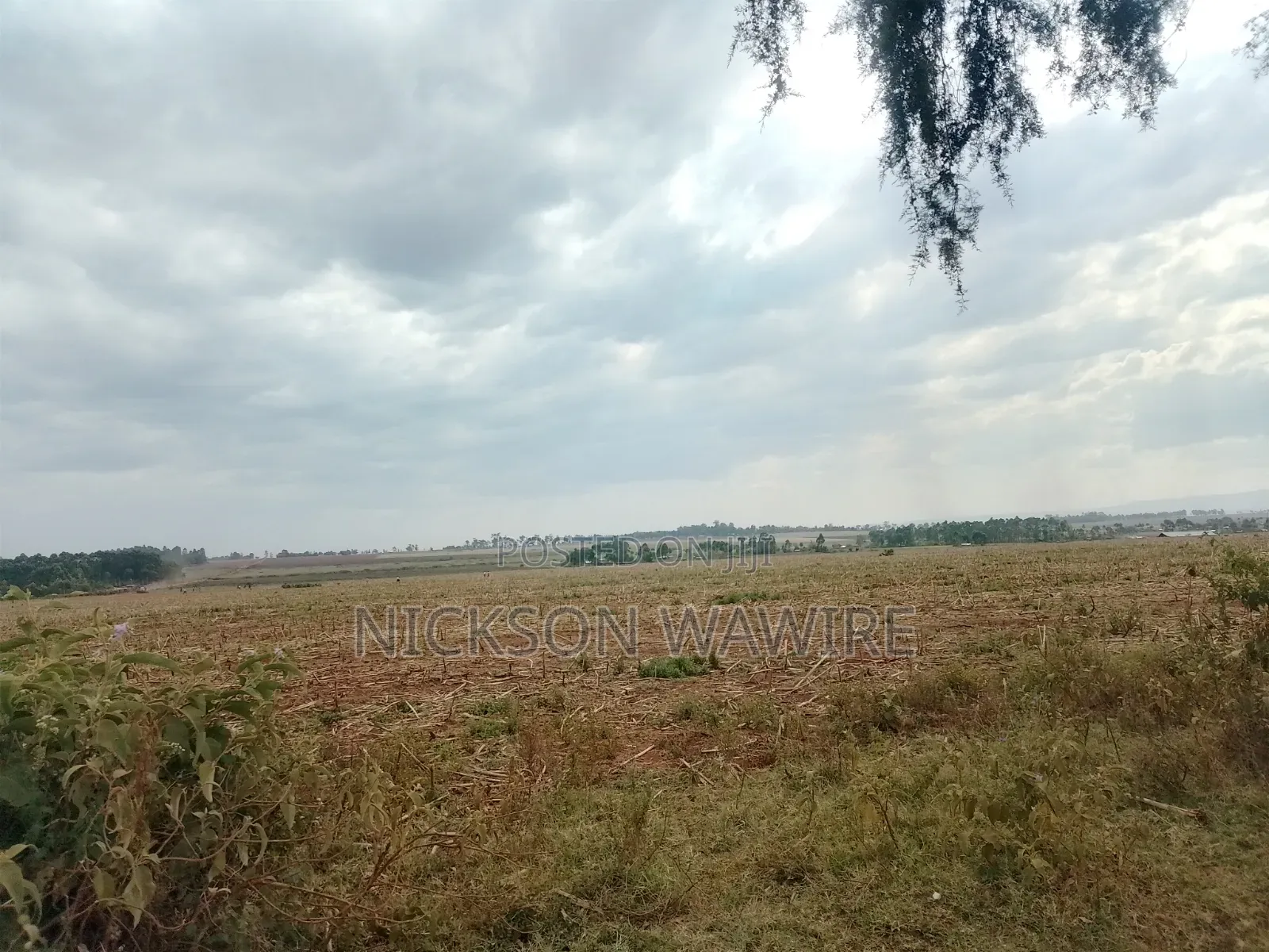 Land on Sell