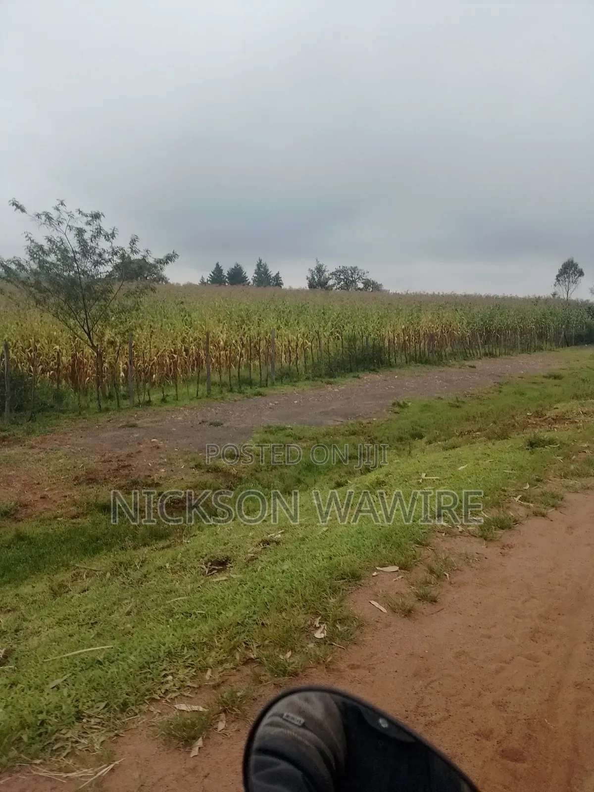Land on Sell