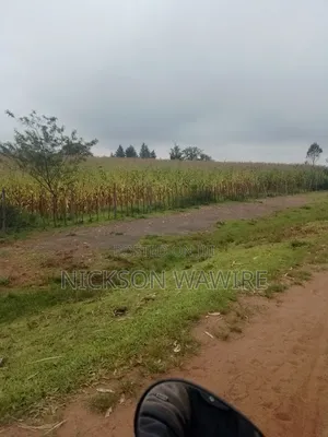 Land on Sell
