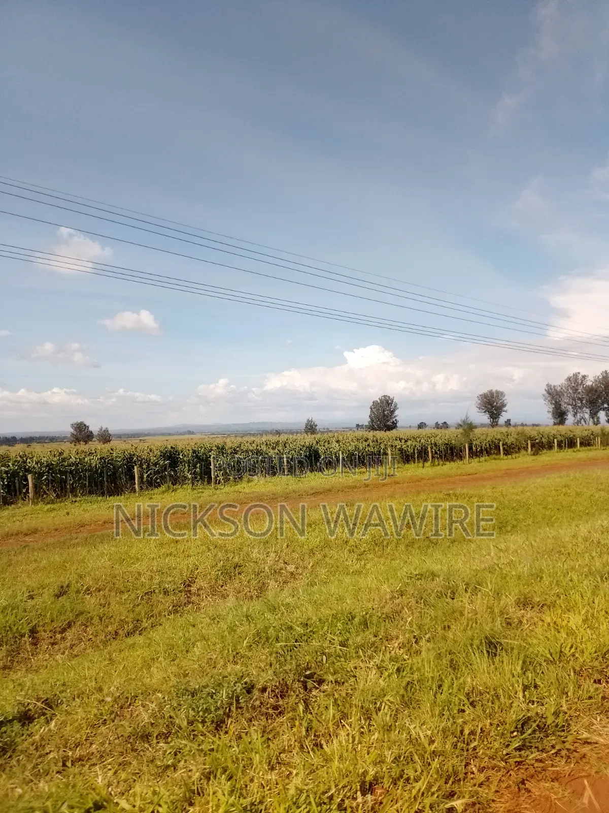 Land on Sell
