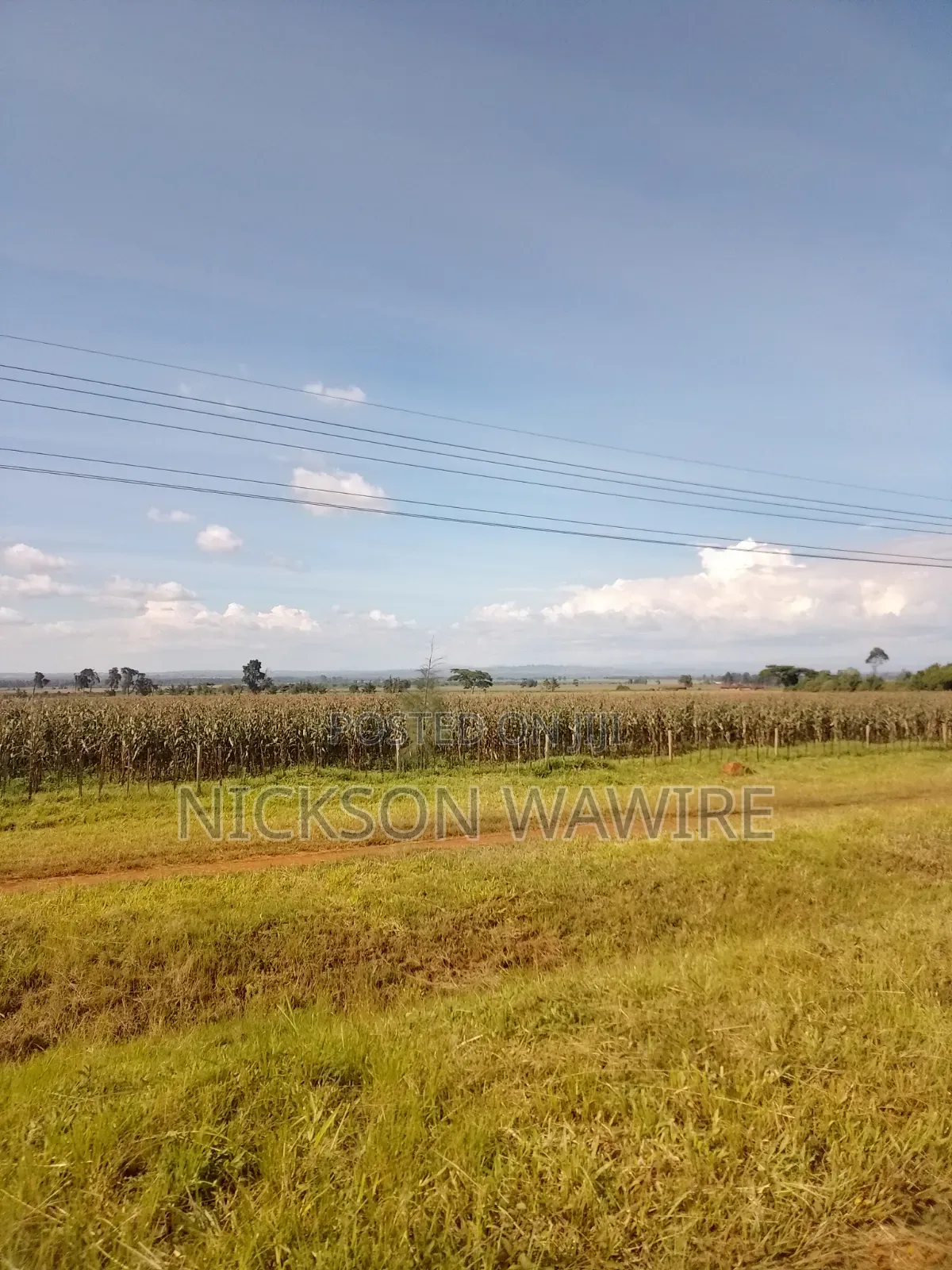 Land on Sell