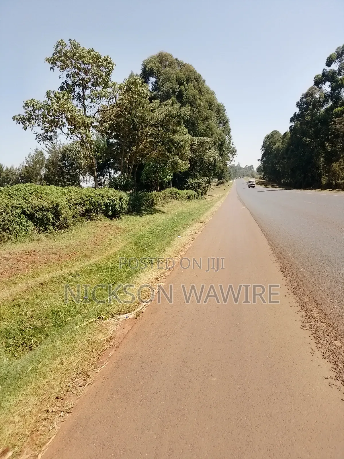 Land on Sell
