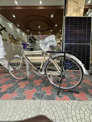 Neelam Assorted Traditional Black Mamba Bicycle